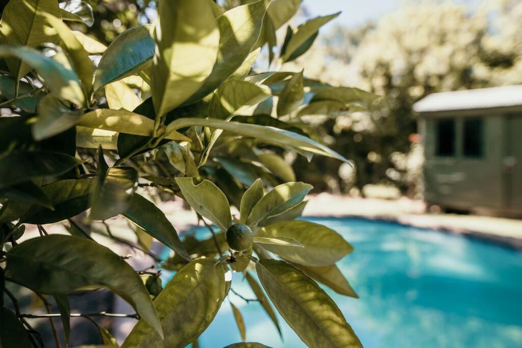 Classic Greyton Cottage For Two Buitenkant foto